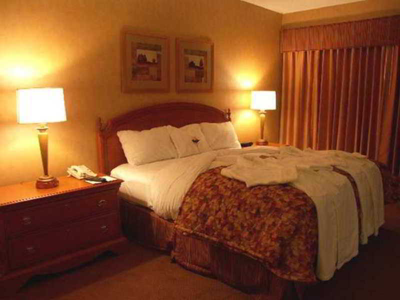 Embassy Suites By Hilton Detroit Metro Airport Romulus Room photo